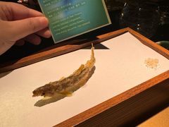 -地球美食剧场
