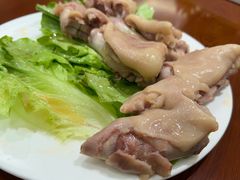 -丁老爷子苏香圆