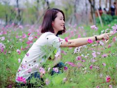 -天适樱花悠乐园