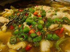 -鸡毛店·川菜(双楠店)