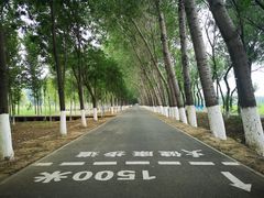 -东郊湿地公园