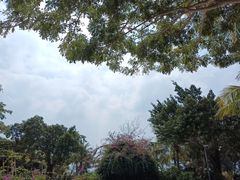 -三亚海韵度假酒店·渔人码头海鲜火锅BBQ自助餐厅·落日吧