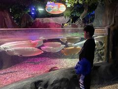 -左海海底世界