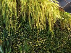 -HOME餐厅粤菜 融合菜