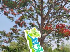 -中国科学院西双版纳热带植物园