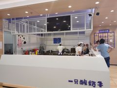 -一只酸奶牛(双流万达广场店)