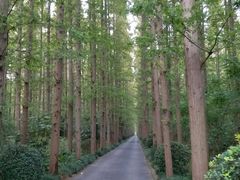 -上海怡沁园度假酒店
