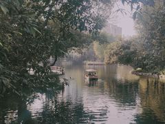 -晓港公园