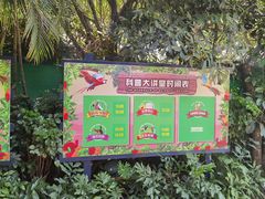 -广州长隆飞鸟乐园