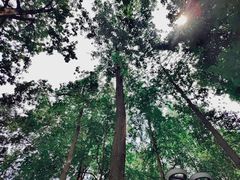 -成都市活水公园