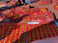 -蒲河大集