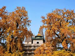 -北京石刻艺术博物馆(五塔寺)
