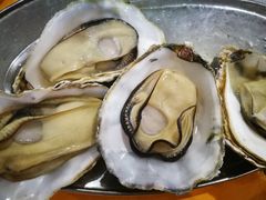 -蚝专家(北滘店)