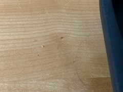 -上海静安香格里拉大酒店