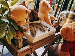 -咖法森林·咖啡  酒吧(天河店)