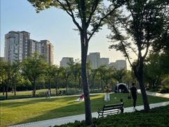 -新江湾城公园