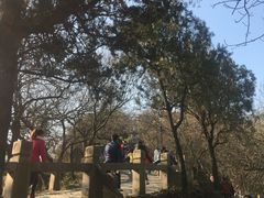 -灵岩山风景区