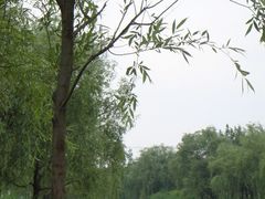 -新江湾城公园