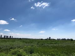 -青水瓦台(青山店)