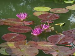 -国家植物园南园