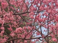 -白塘生态植物园