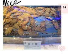 -澜悦港海鲜体验主题餐厅