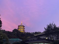-浙江西子宾馆·牡丹厅