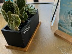 -大堂酒廊·亚龙湾万豪度假酒店