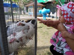 -萌宠亲子动物乐园(槐房万达店)