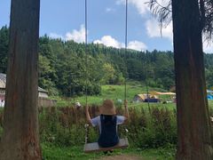 -武陵山森林公园