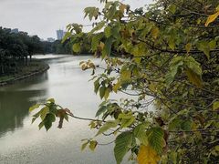 -海珠湖公园