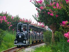 -武汉紫薇都市田园