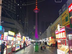 -辽宁电视塔