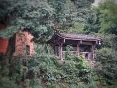 -杨家堂村