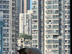 -怪兽屋·羊驼·猫咖·狗咖(俊华广场店)