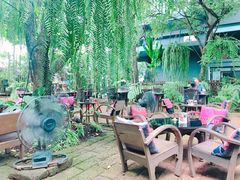 -Fern Forest Cafe