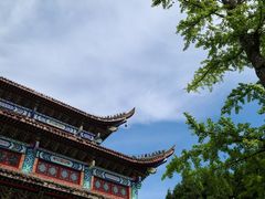 -武陵山森林公园
