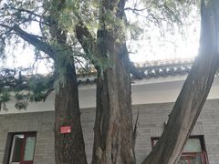 -北京市劳动人民文化宫(太庙)