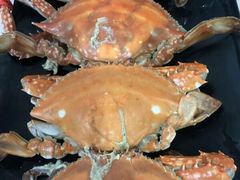 -兆辉木炭海鲜烧烤·海鲜小炒