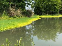 -桤木河湿地公园