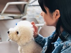 -谢列梅捷沃国际机场