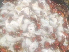 -金三可市井水煮鱼(金碧园店)