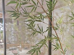 -绿茶餐厅(青岛城阳万象汇店)