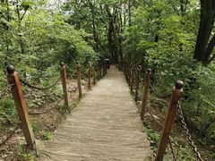 -陕西省红河谷森林公园