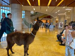 -济南喜来登酒店