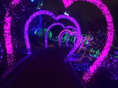 -碧桂园泰富城售楼部