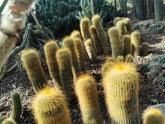 -南山植物园
