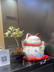 -韩国李知恩形象设计