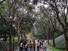 -云溪植物园