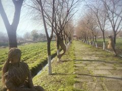 -长兴太湖图影湿地文化园